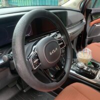 boc-vo-lang-da-bo-that-van-ca-sau-mau-den