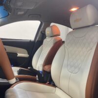 Đa dạng màu sắc ghế da nappaĐa dạng màu sắc ghế da nappa