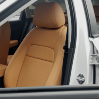 Đa dạng màu sắc ghế da nappa