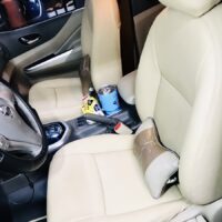 Đa dạng nhiều màu sắc