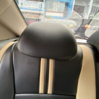 Đa dạng nhiều màu sắc