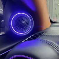 Phân loại loa cánh cửa ô tô