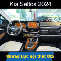 Dán PPF nội thất Kia Seltos 2024