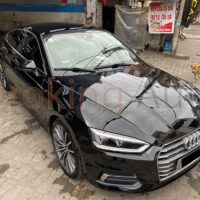 Chống tia cực tím hiệu quả, bảo vệ xe