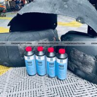 Hoá nhựa lòng vè Kia Carnival