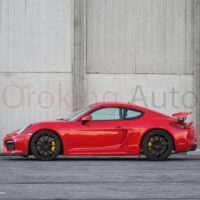 Màu sắc đa dạng tương thích với phương tiện