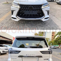 Màu sắc đa dạng tương thích với phương tiện