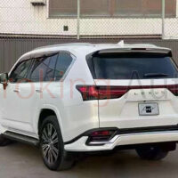 Màu sắc đa dạng tương thích với phương tiện