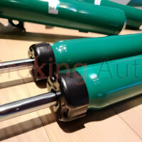 Phuộc nhún Tein thể thao