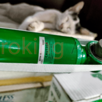 Phuộc Tein ENDURAPRO PLUS là giải pháp hoàn hảo cho những ai muốn nâng cấp hệ thống treo của xe Mercedes E250