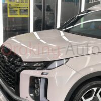 Dán PPF Hyundai Palisade 2025