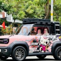 Cầu thang lắp đặt dễ dàng cho VF3