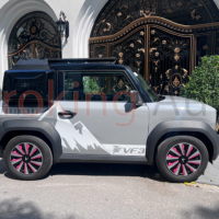 Cốp bên hông VF3