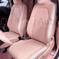 Giá Đổi Màu Nội Thất Vinfast VF3