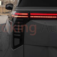 Đèn hậu Kia Carnival 2025 sở hữu thiết kế đẹp mắt - sang trọng cùng dãy màu nổi bật và sinh động.