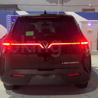 Đèn LED định vị VinFast Limo Green