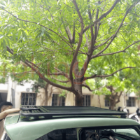 Cản chướng ngại vật bằng giá nóc xe VinFast VF3 vô cùng tuyệt vời