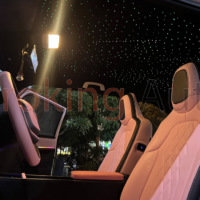 Chủ đề độ trần xe Vinfast VF6 theo cung hoàng đạo mang đậm cá tính riêng của chủ sỡ hữu