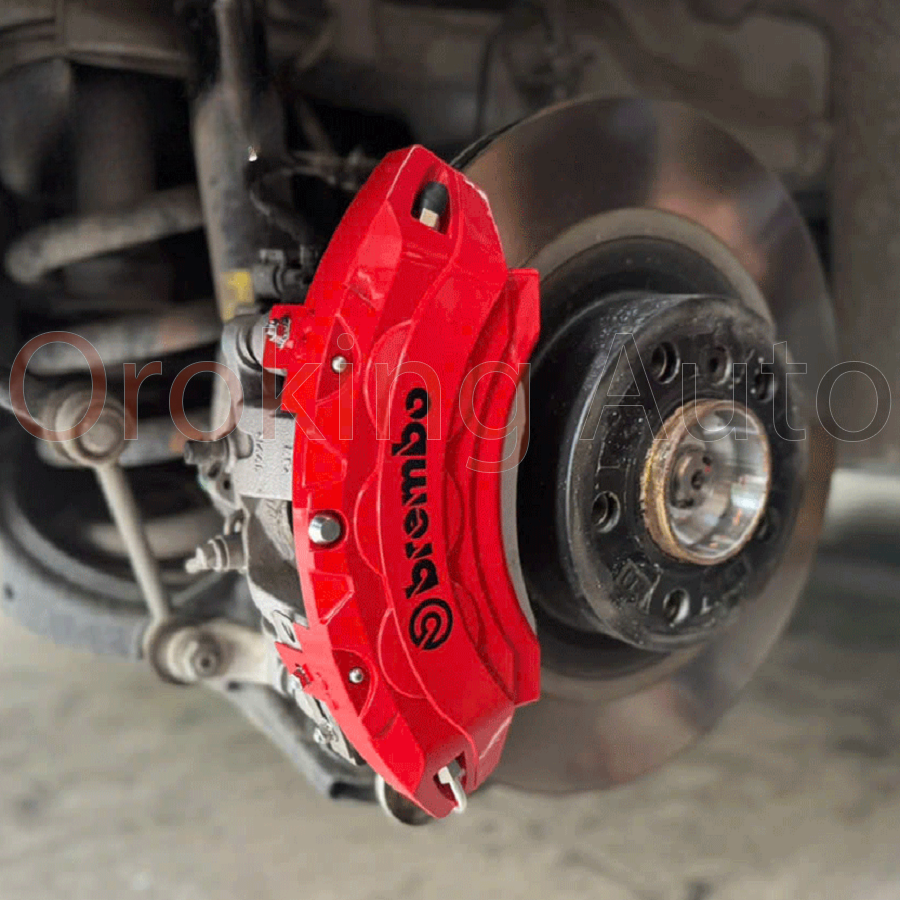 op-heo-dau-brembo-cho-byd-sealion-6